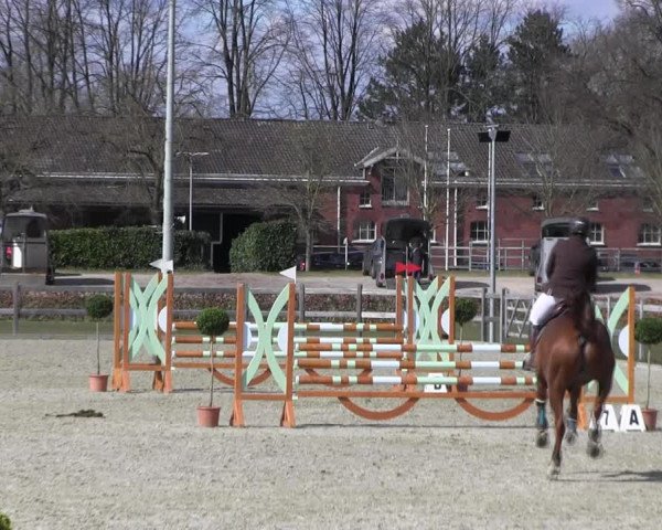 Reitturnier Elmshorn 2022