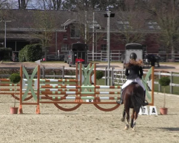 Reitturnier Elmshorn 2022