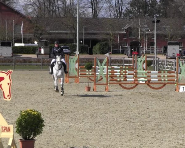 Reitturnier Elmshorn 2022