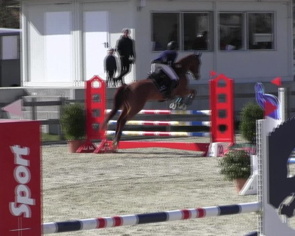 Reitturnier Elmshorn 2022