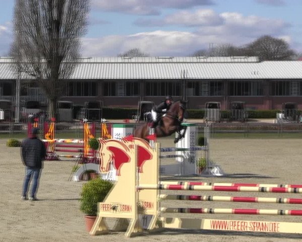 Reitturnier Elmshorn 2022