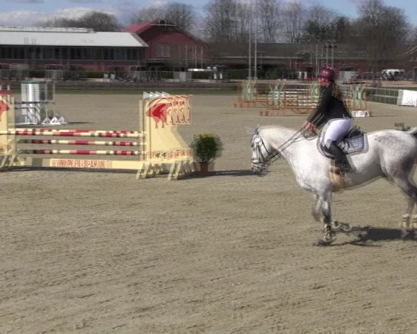 Reitturnier Elmshorn 2022
