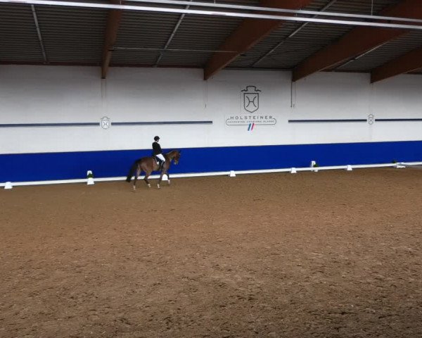 Reitturnier Elmshorn 2022