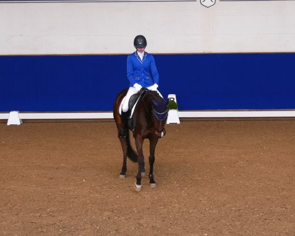 Reitturnier Elmshorn 2022