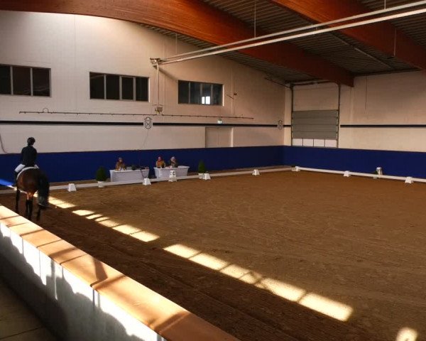 Reitturnier Elmshorn 2022