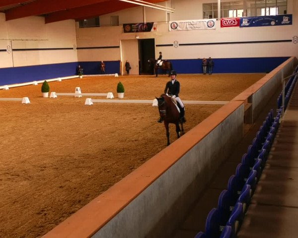 Reitturnier Elmshorn 2022