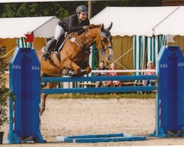 Springpferd Donna Bonita 3 (Westfale, 1996, von Dinard L)