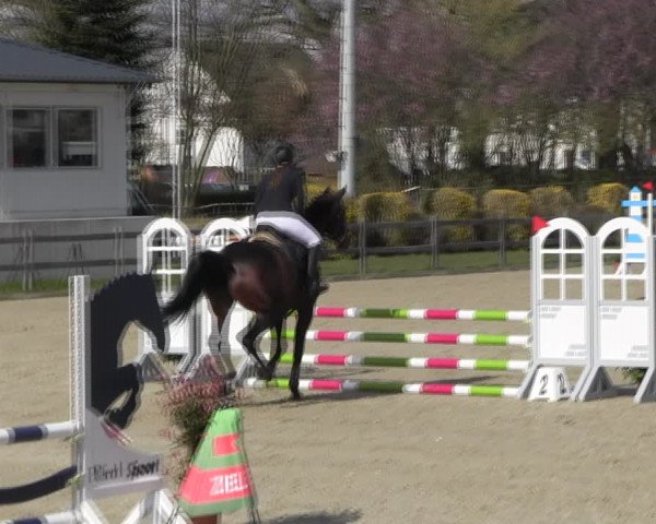 Reitturnier Elmshorn 2022