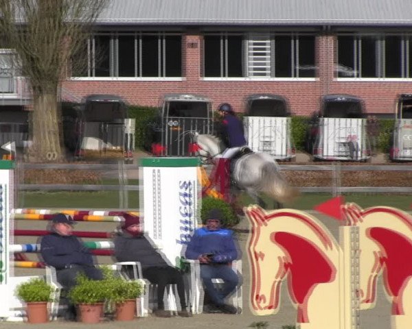 Reitturnier Elmshorn 2022