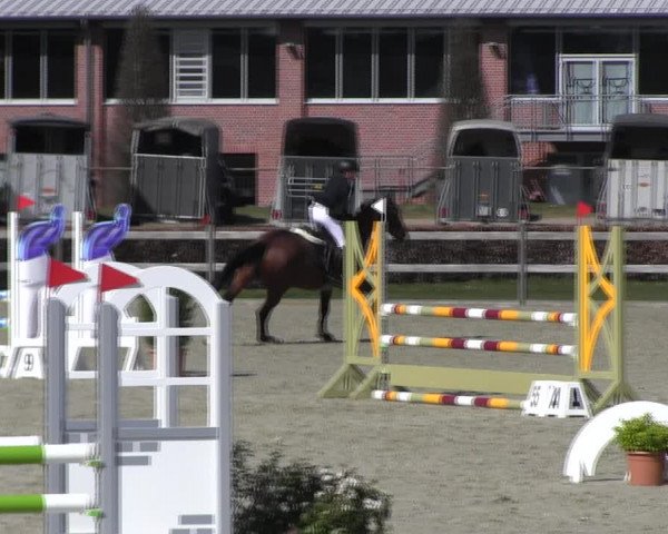 Reitturnier Elmshorn 2022