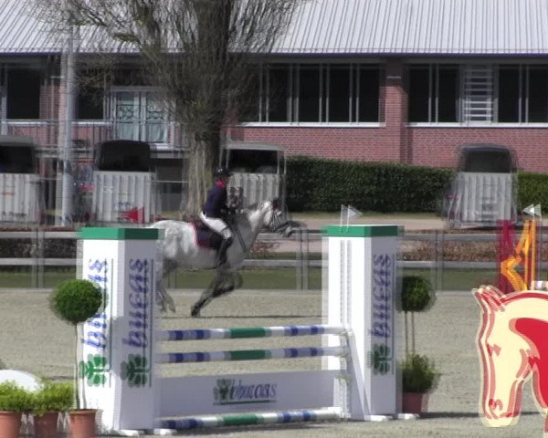 Reitturnier Elmshorn 2022