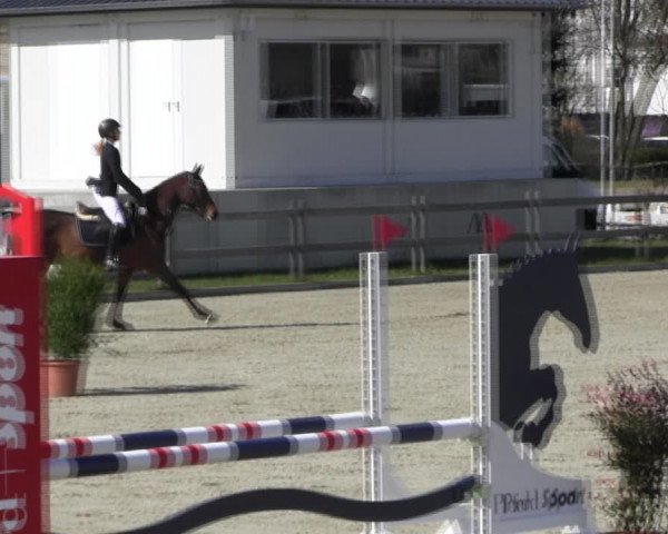 Reitturnier Elmshorn 2022
