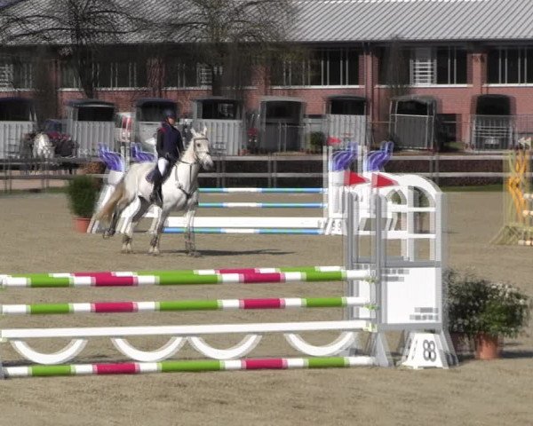 Reitturnier Elmshorn 2022