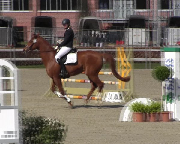 Reitturnier Elmshorn 2022