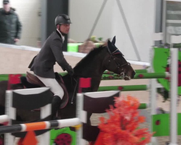 Reitturnier Borken 2022