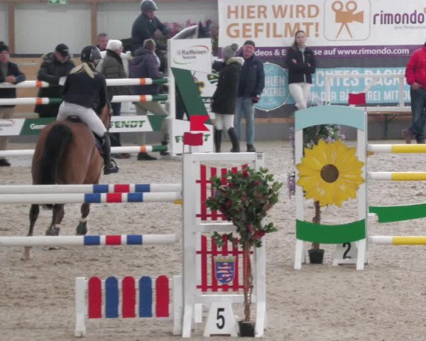 Reitturnier Borken 2022