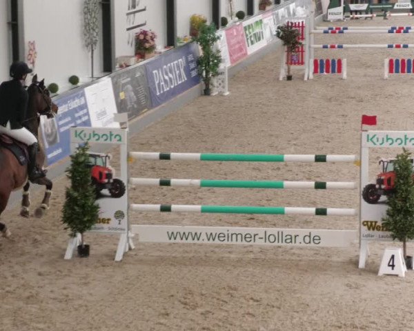 Reitturnier Borken 2022