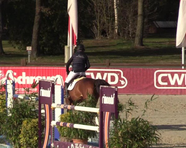 Reitturnier Westergellersen 2022