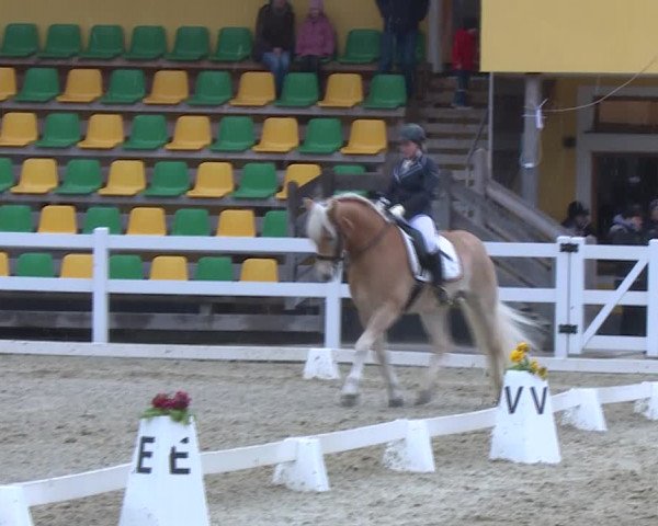 Reitturnier K, St. Margarethen-Stückler 2022