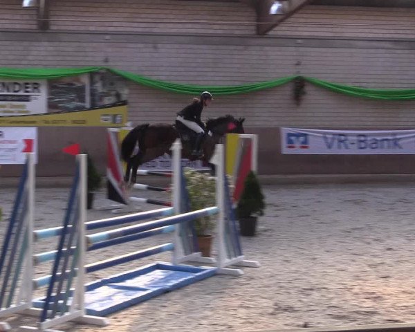 Reitturnier Leverkusen-Rheindorf 2022