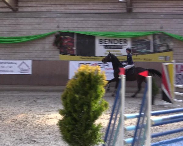 Reitturnier Leverkusen-Rheindorf 2022