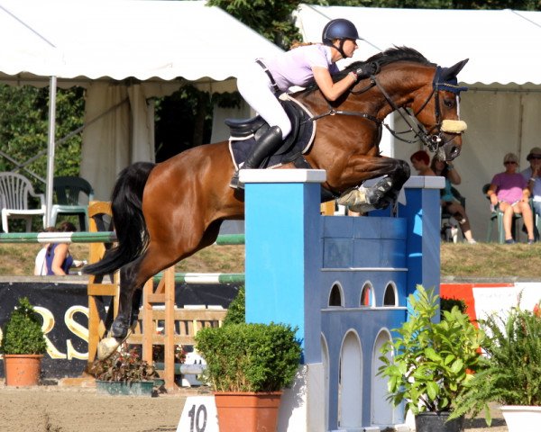 jumper First Choice 15 (Hessian Warmblood, 2003, from For Keeps)