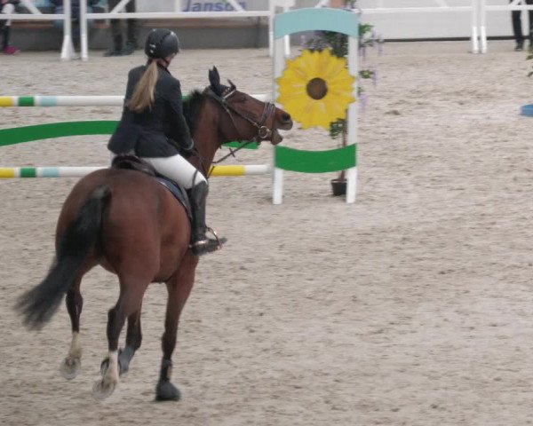 Reitturnier Borken 2022