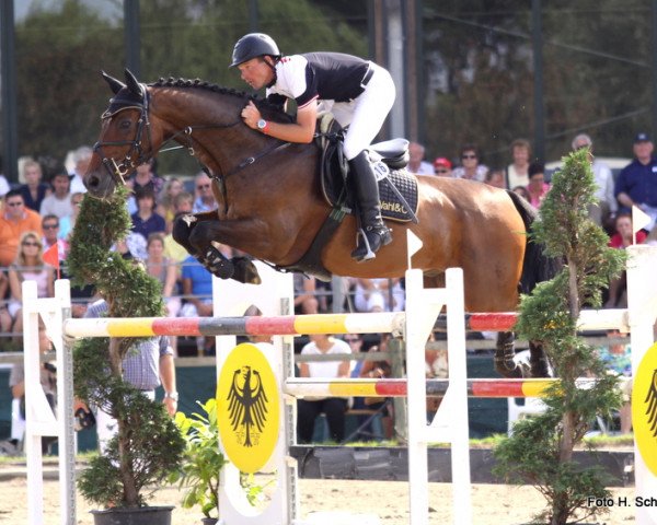 Springpferd Lamiro W (Westfale, 2003, von Larius W)