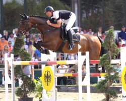 Springpferd Lamiro W (Westfale, 2003, von Larius W)