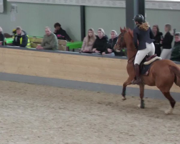 Reitturnier Borken 2022