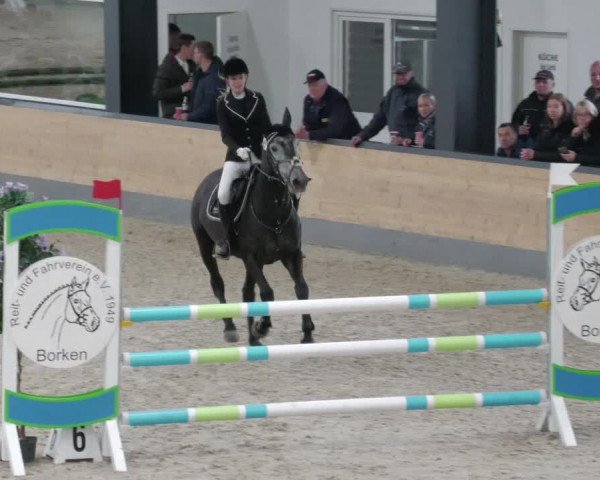 Reitturnier Borken 2022