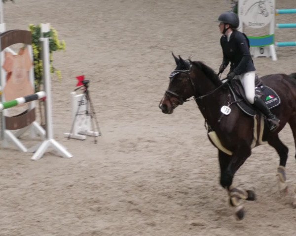 Reitturnier Borken 2022