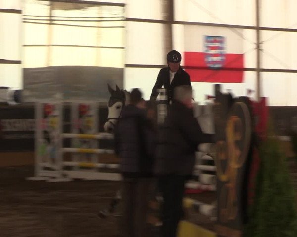 Reitturnier Pausin 2022