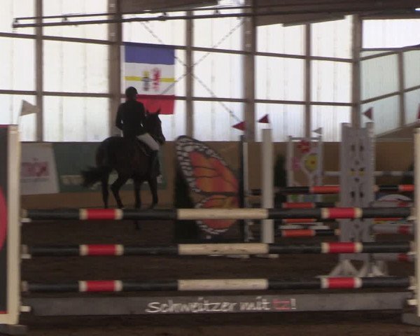 Reitturnier Pausin 2022