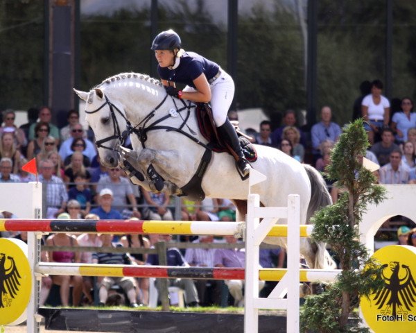 Springpferd Cassian B (Holsteiner, 2004, von Cassini I)