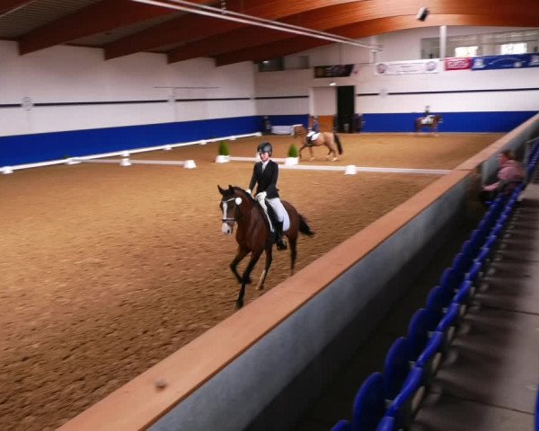 Reitturnier Elmshorn 2022
