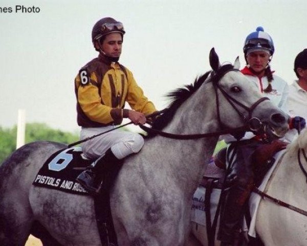 stallion Pistols And Roses xx (Thoroughbred, 1989, from Darn That Alarm xx) stallion Pistols And Roses xx (Thoroughbred, 1989, from Darn That Alarm xx)