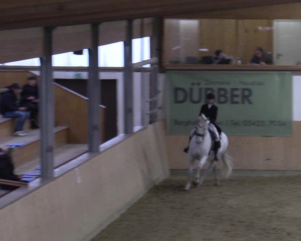 Reitturnier Borgholzhausen-Westbarthausen 2022