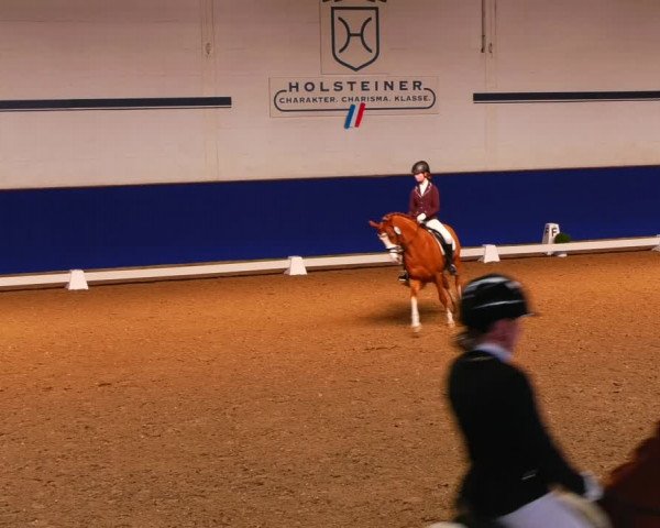 Reitturnier Elmshorn 2022