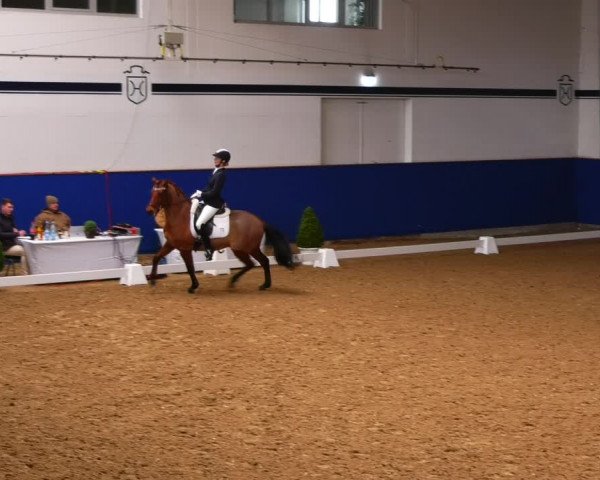 Reitturnier Elmshorn 2022