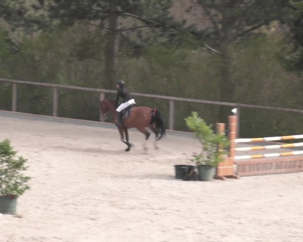 Reitturnier Erkrath - Uhlenhof 2022
