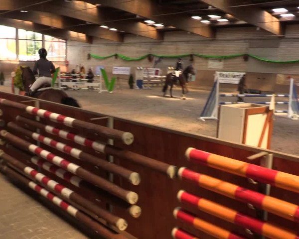 Reitturnier Leverkusen-Rheindorf 2022