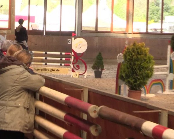 Reitturnier Leverkusen-Rheindorf 2022