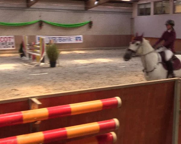 Reitturnier Leverkusen-Rheindorf 2022