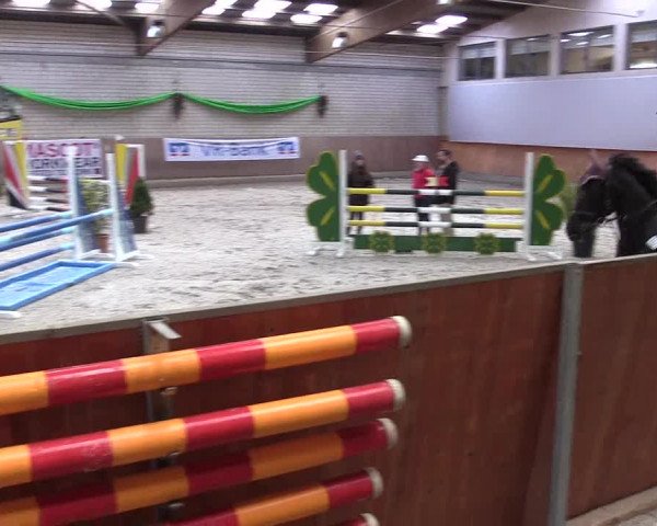 Reitturnier Leverkusen-Rheindorf 2022