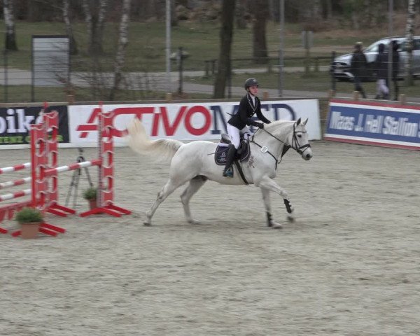 Reitturnier Westergellersen 2022
