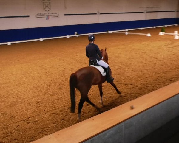 Reitturnier Elmshorn 2022