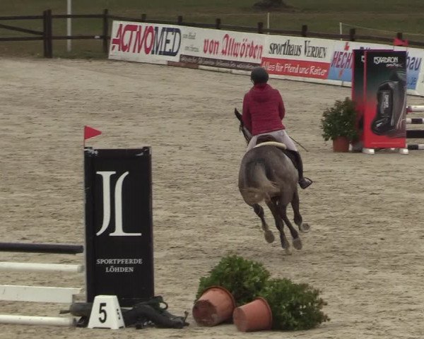 Reitturnier Westergellersen 2022