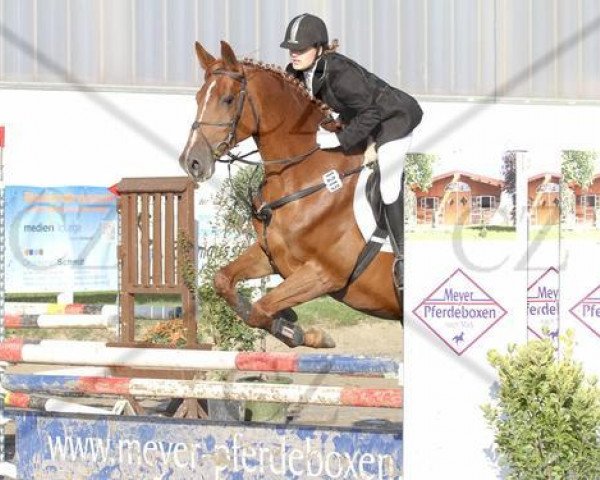 Springpferd Robina 41 (Westfale, 2004, von Rubino Rosso)