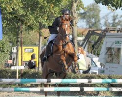 Cavallo da Dressage Ramira Loreen (Hannoveriano, 2002)